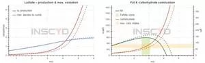 FIGUR 2: Udvikling af laktatkoncentration og fedtomstning fra test 1 til test 2.